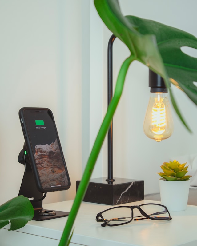 Smart Light Controls (app-controlled switches/dimmers)